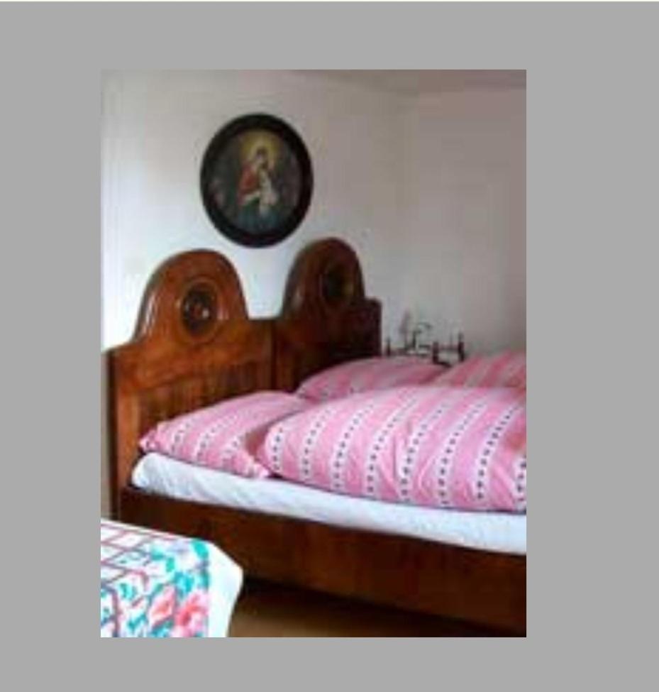 Apartmán Dum U Giordanu Slavonice Exteriér fotografie